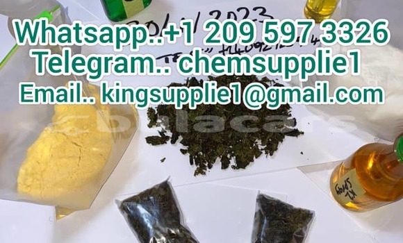 Buy New AC Ace Black Car in Barotu in Western