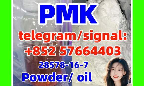 Medium with watermark bp1