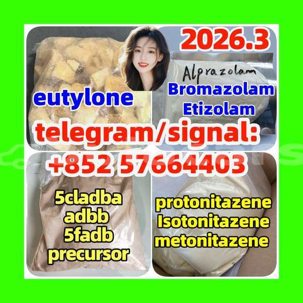 Big with watermark z1