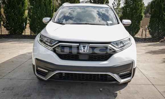 Buy Used Honda CRV White Car in Suva in Central Buy Used Honda CRV White Car in Suva in Central
