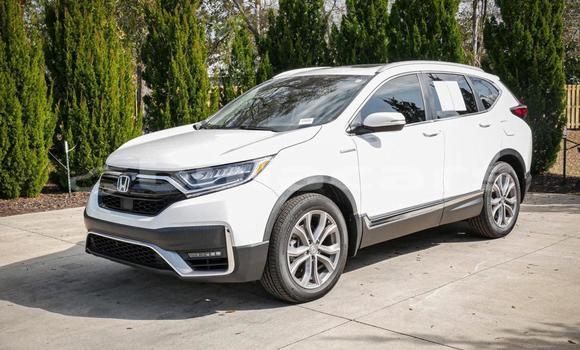 Buy Used Honda CRV White Car in Suva in Central Buy Used Honda CRV White Car in Suva in Central