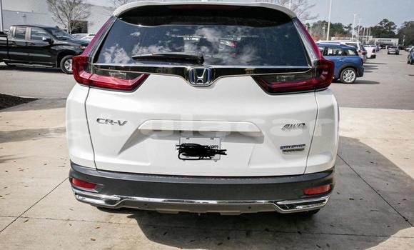 Buy Used Honda CRV White Car in Suva in Central Buy Used Honda CRV White Car in Suva in Central