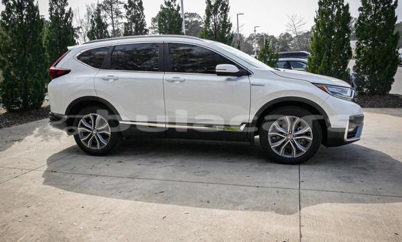 Buy Used Honda CRV White Car in Suva in Central Buy Used Honda CRV White Car in Suva in Central