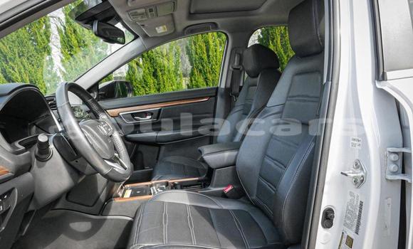 Buy Used Honda CRV White Car in Suva in Central Buy Used Honda CRV White Car in Suva in Central
