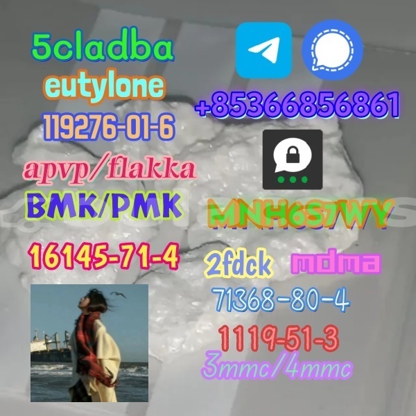 Big with watermark 1 411 