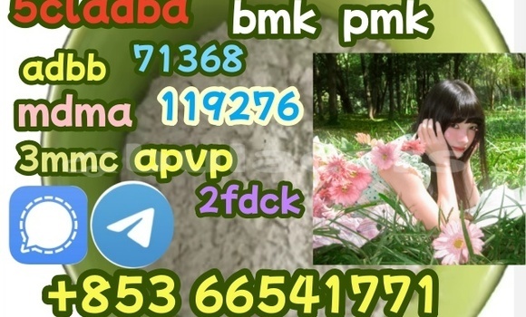 eu,low price853 66541771