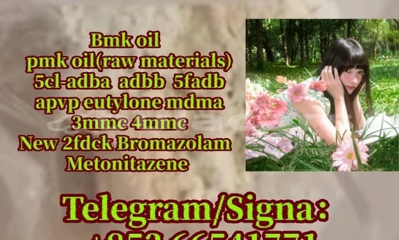 Medium with watermark 119276 17 