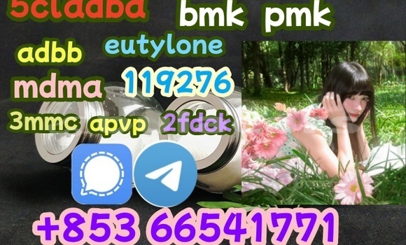 71368-80-4,Top supplier 