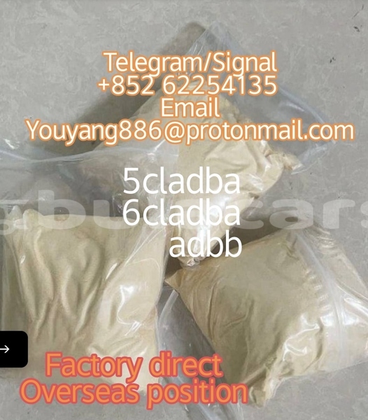 Big with watermark audi 90 central deuba 11576