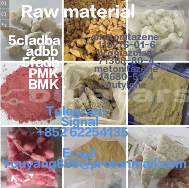 Big with watermark adler diplomat central deuba 11580