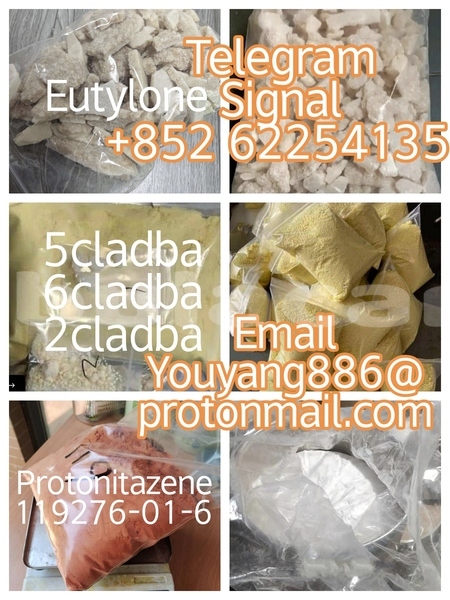 Big with watermark adler diplomat central deuba 11584