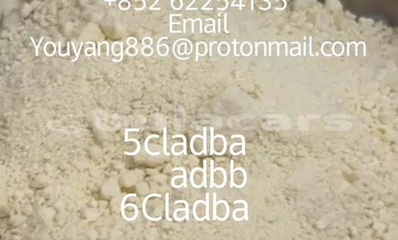 Buy New Adler Diplomat Green Car in Deuba in Central