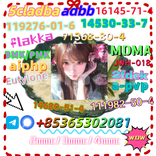 Big with watermark 12