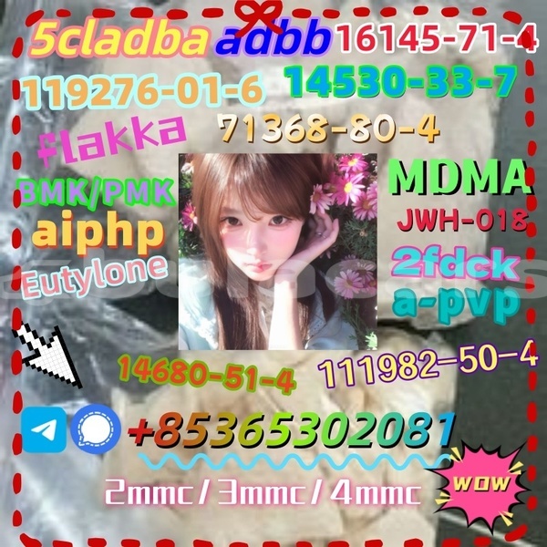 Big with watermark photo 6192803247366981096 x