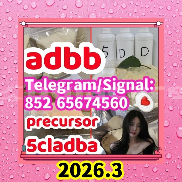 Big with watermark adbb13 %e5%89%af%e6%9c%ac