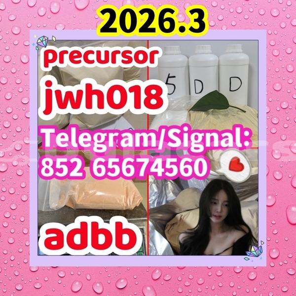 Big with watermark precursoradbb %e5%89%af%e6%9c%ac