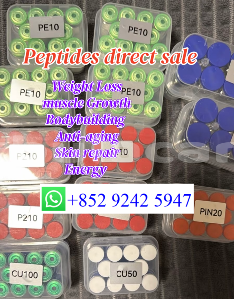 Big with watermark d %e5%89%af%e6%9c%ac