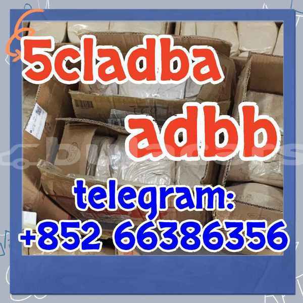 Big with watermark 1