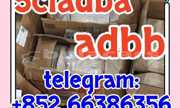 Medium with watermark 2