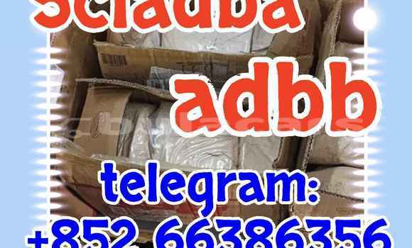 Medium with watermark 3