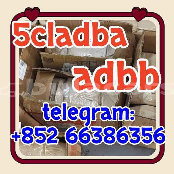 Big with watermark 4