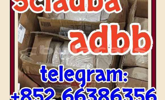 Medium with watermark 4