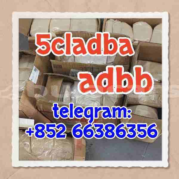 Big with watermark 6