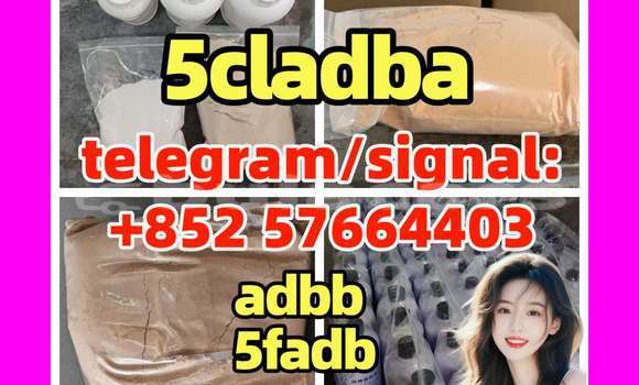 Medium with watermark 5c5