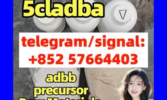 Medium with watermark 5cc5