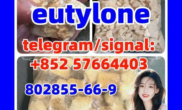 Medium with watermark e5