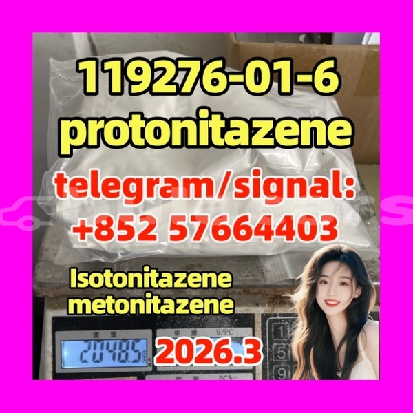 Big with watermark pro5