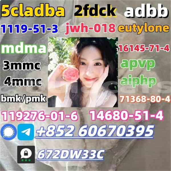 Big with watermark cas 14530 33 7 3