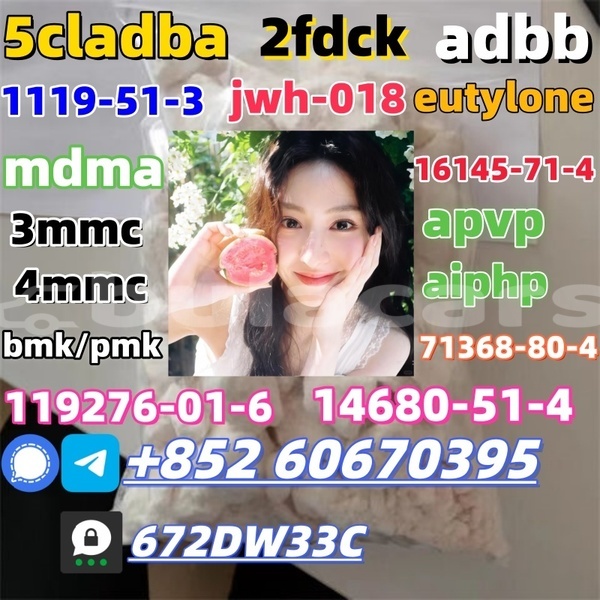 Big with watermark cas 14530 33 7 4