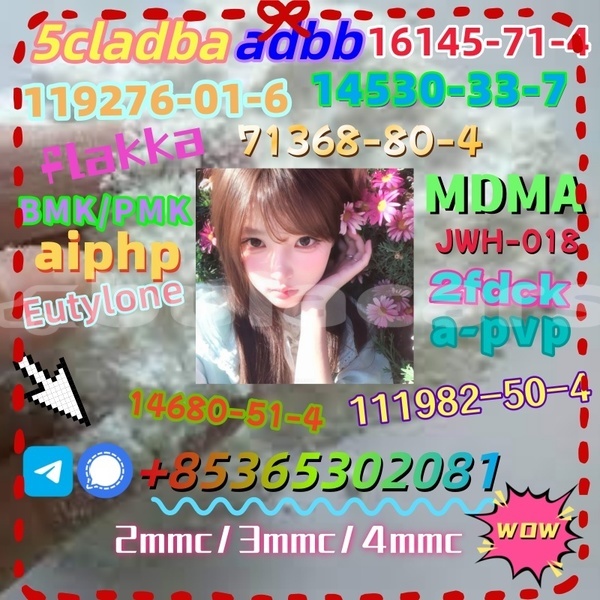 Big with watermark 1 13 