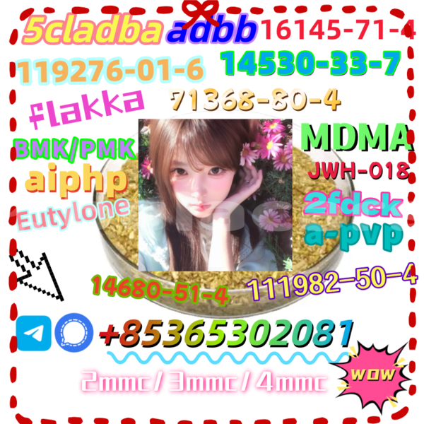 Big with watermark 2 3 