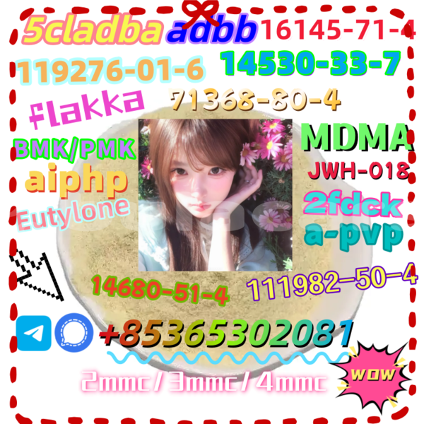 Big with watermark 2