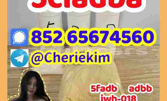 Medium with watermark 5cladba %e5%89%af%e6%9c%ac