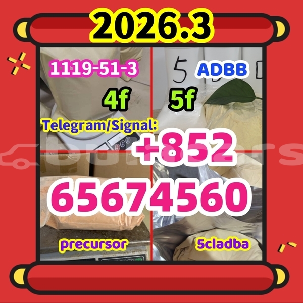 Big with watermark %e6%89%80%e6%9c%895c %e5%89%af%e6%9c%ac