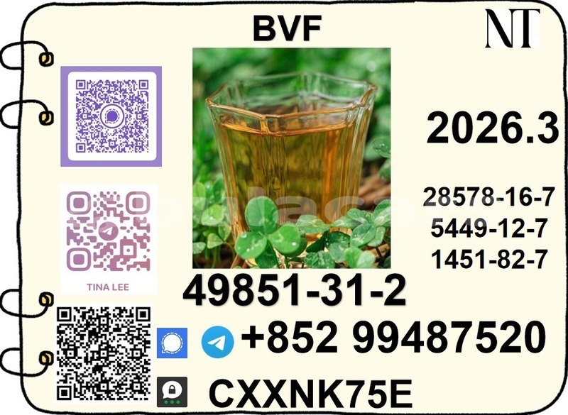 Big with watermark 49.3