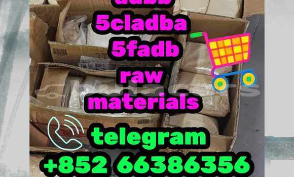 Medium with watermark 2