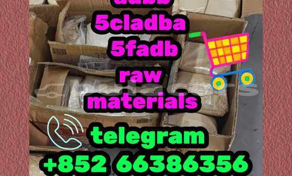 Medium with watermark 3