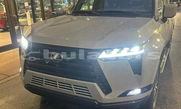 Buy Used Lexus GX White Car in Suva in Central