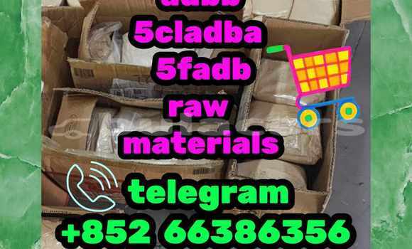 Medium with watermark 7