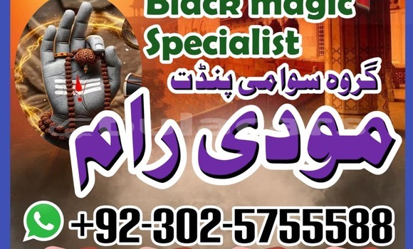 Acheter Occasion Voiture AMC Hornet Bleu à Import - Dubai, Central Acheter Occasion Voiture AMC Hornet Bleu à Import - Dubai, Central