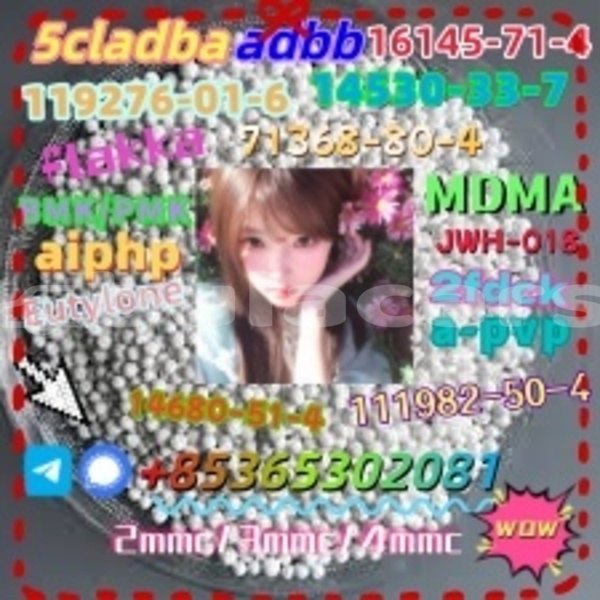 Big with watermark 1 6