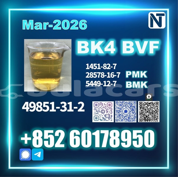 Big with watermark 49851 31 2 1 