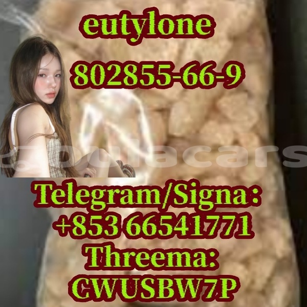 Big with watermark eu 12