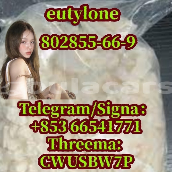 Big with watermark eu 13 