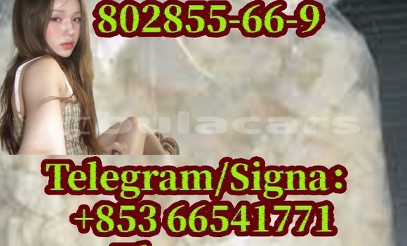 Medium with watermark eu 13 