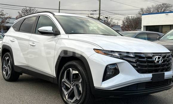 Buy Used Hyundai Tucson White Car in Suva in Central